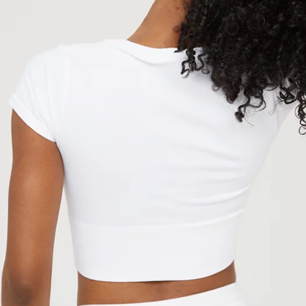 NWT OFFLINE by Aerie seamless cropped tee (M)